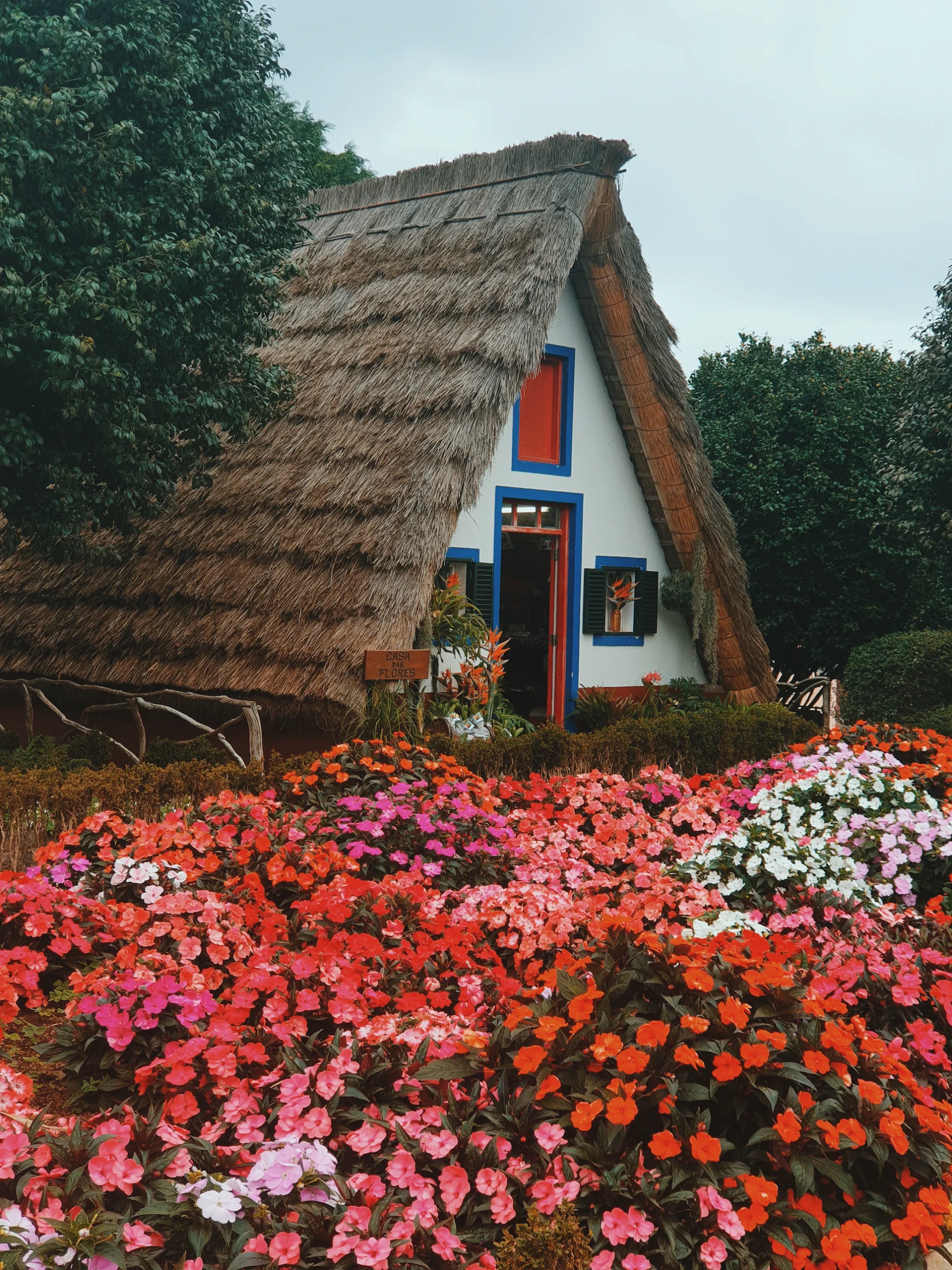 Madeira die Blumen insel