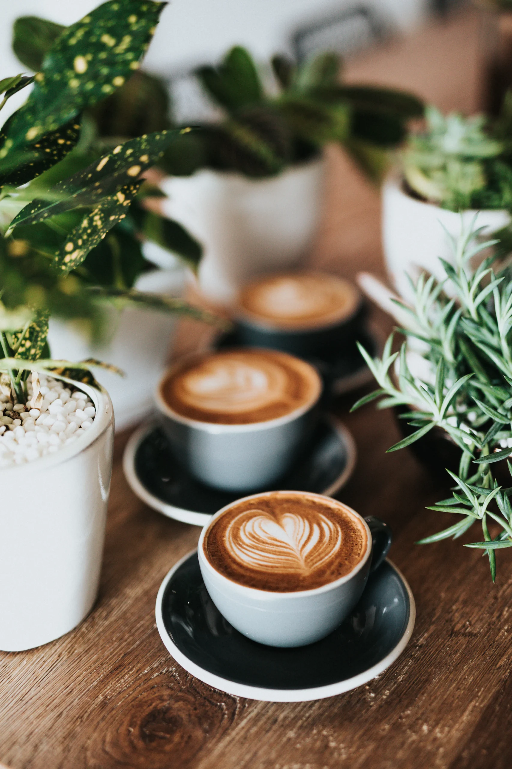 Café in Stuttgart: Die ihr Garantiert noch nicht kennt!