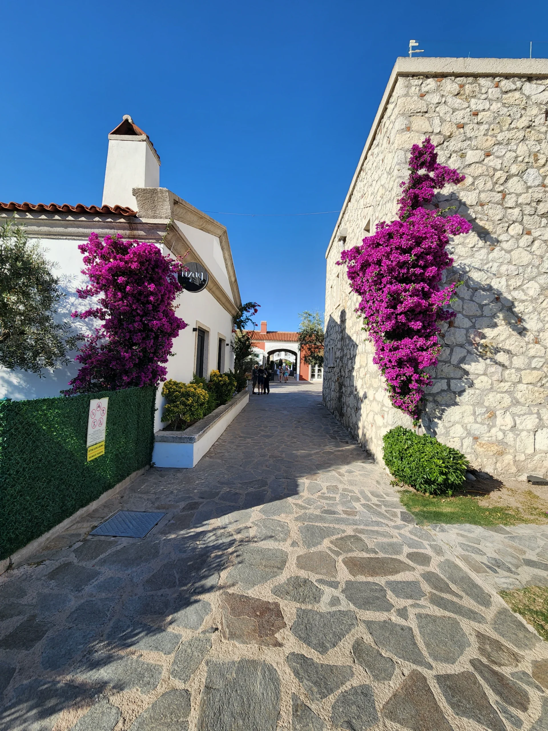 Cesme Alacati: Entdeckt jetzt die Ägäische Küste mit unseren Tipps!